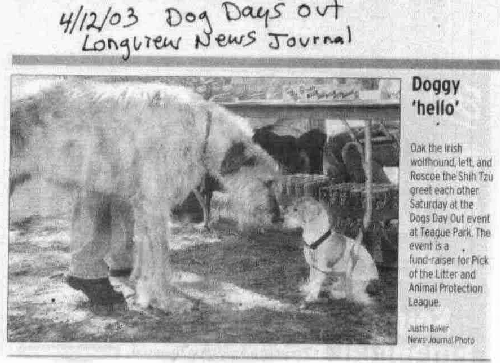news article news article
